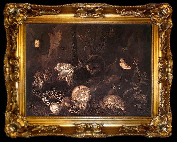framed  SCHRIECK, Otto Marseus van Still-Life with Insects and Amphibians ar, ta009-2